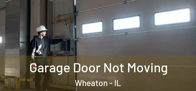  Garage Door Not Moving Wheaton - IL