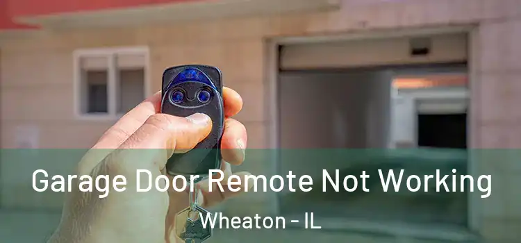  Garage Door Remote Not Working Wheaton - IL
