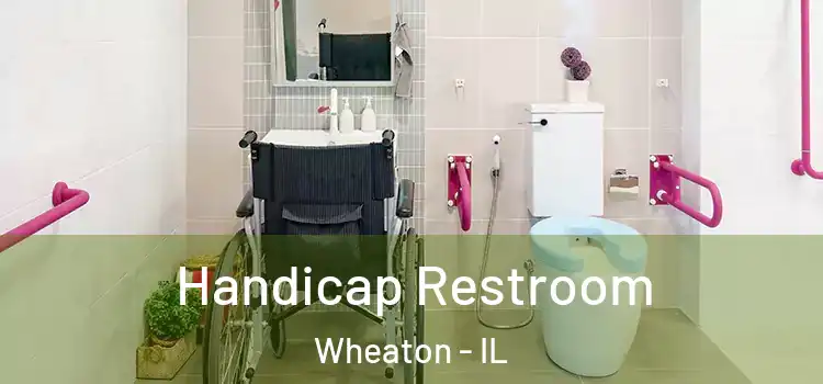  Handicap Restroom Wheaton - IL
