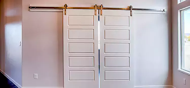 Glass Barn Door with Installation Hardware Kit Wheaton