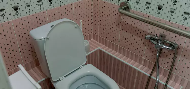 Meeting Diverse Needs With Accessible Restroom Solutions in Wheaton, IL