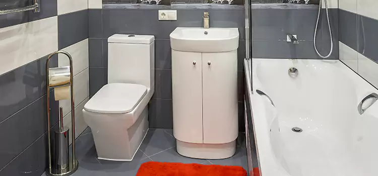 Hansgrohe Shaving Mirror Wheaton