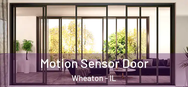 Motion Sensor Door Wheaton - IL