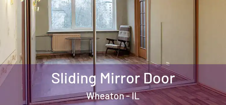  Sliding Mirror Door Wheaton - IL